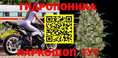прущие крисы Тверь