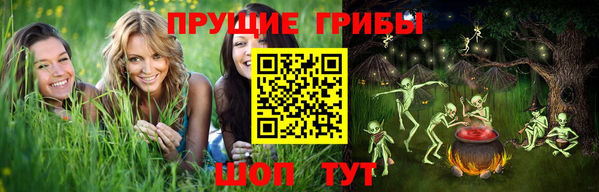 Псилоцибиновые грибы ЛСД Брянск